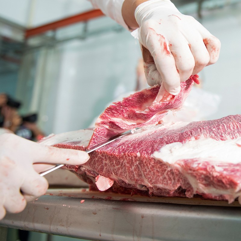 Schlachtung: Fleisch richtig verarbeiten